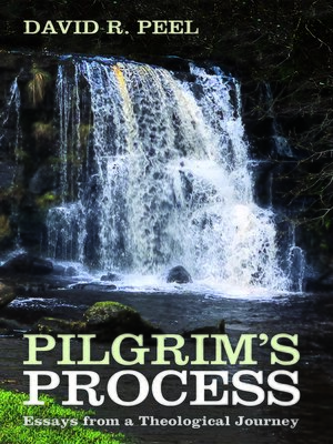 cover image of Pilgrim's Process